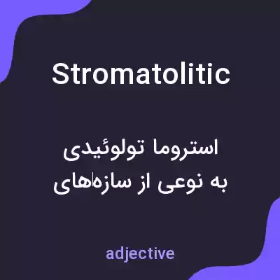 معنی stromatolitic به فارسی معنی stromatolitic به فارسی