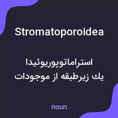 معنی stromatoporoidea به فارسی معنی stromatoporoidea به فارسی