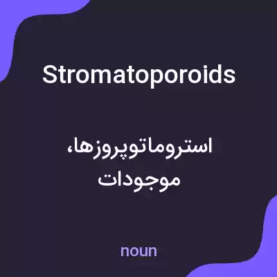 معنی stromatoporoids به فارسی معنی stromatoporoids به فارسی