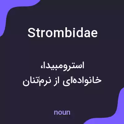 معنی strombidae به فارسی معنی strombidae به فارسی