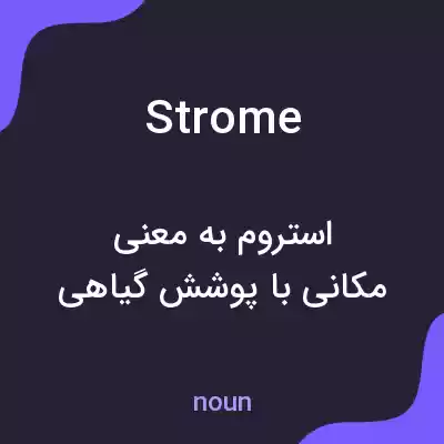 معنی strome به فارسی معنی strome به فارسی