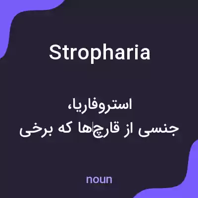 معنی stropharia به فارسی