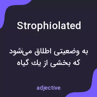 معنی strophiolated به فارسی معنی strophiolated به فارسی