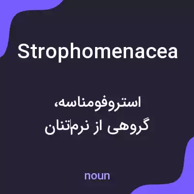 معنی strophomenacea به فارسی معنی strophomenacea به فارسی