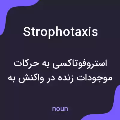 معنی strophotaxis به فارسی