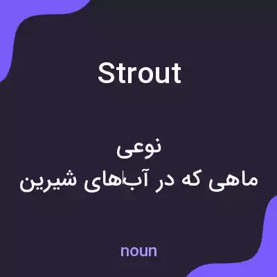 معنی strout به فارسی معنی strout به فارسی