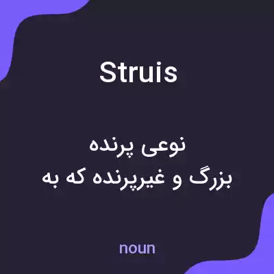 معنی struis به فارسی معنی struis به فارسی