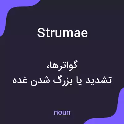 معنی strumae به فارسی معنی strumae به فارسی