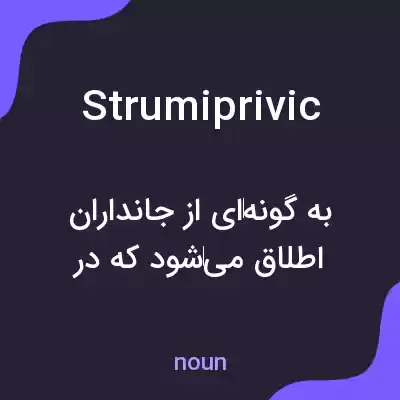 معنی strumiprivic به فارسی معنی strumiprivic به فارسی