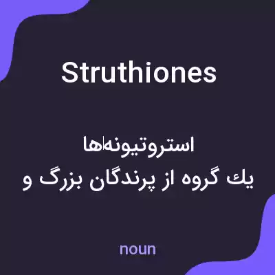 معنی struthiones به فارسی معنی struthiones به فارسی