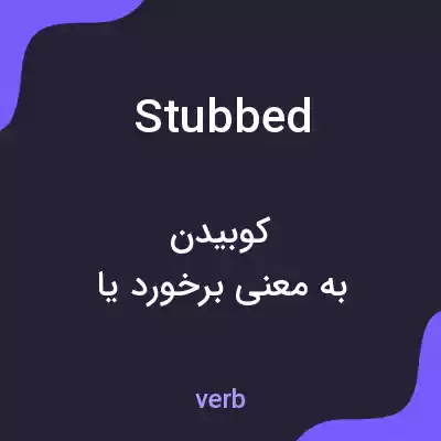 معنی stubbed به فارسی معنی stubbed به فارسی