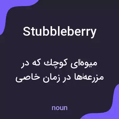 معنی stubbleberry به فارسی