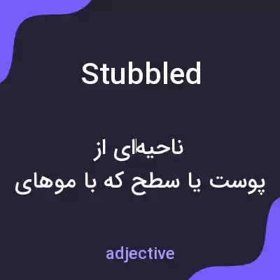 معنی stubbled به فارسی