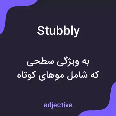 معنی stubbly به فارسی معنی stubbly به فارسی