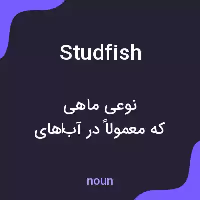 معنی studfish به فارسی معنی studfish به فارسی