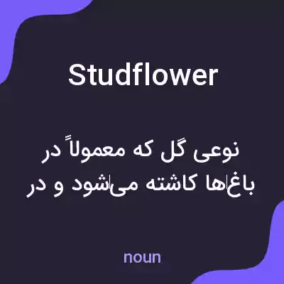 معنی studflower به فارسی معنی studflower به فارسی