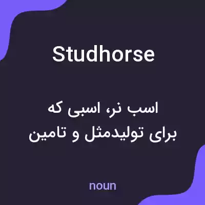 معنی studhorse به فارسی معنی studhorse به فارسی