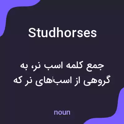 معنی studhorses به فارسی معنی studhorses به فارسی