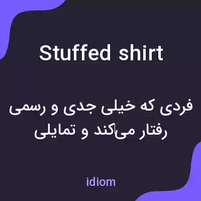 معنی stuffed shirt به فارسی معنی stuffed shirt به فارسی