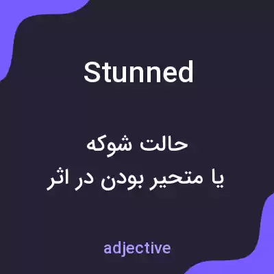 معنی stunned به فارسی معنی stunned به فارسی