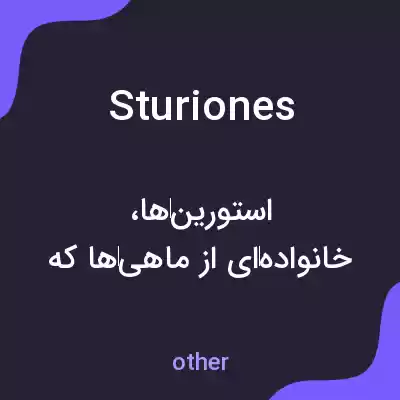 معنی sturiones به فارسی
