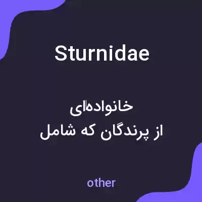 معنی sturnidae به فارسی معنی sturnidae به فارسی