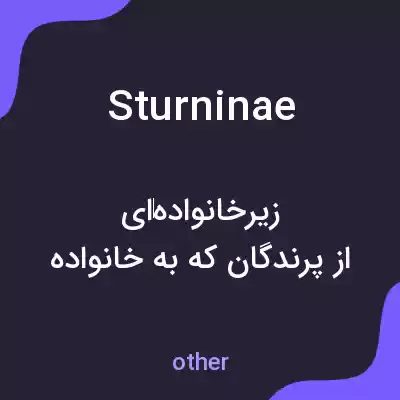معنی sturninae به فارسی معنی sturninae به فارسی