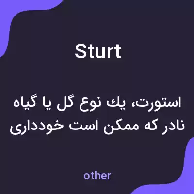 معنی sturt به فارسی معنی sturt به فارسی