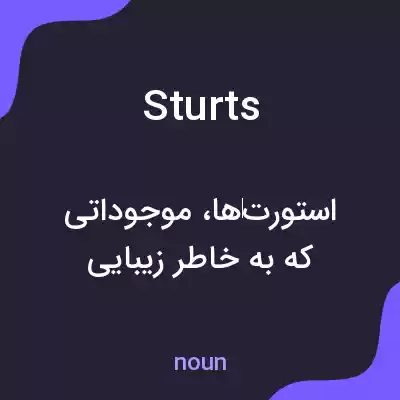 معنی sturts به فارسی معنی sturts به فارسی