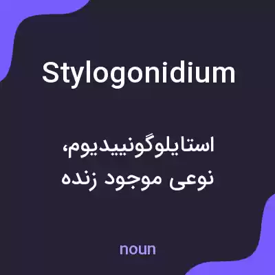 معنی stylogonidium به فارسی معنی stylogonidium به فارسی