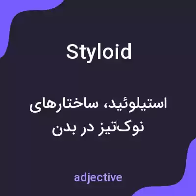 معنی styloid به فارسی معنی styloid به فارسی