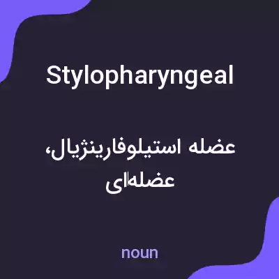 معنی stylopharyngeal به فارسی معنی stylopharyngeal به فارسی