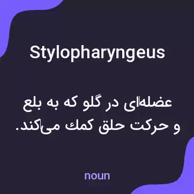 معنی stylopharyngeus به فارسی معنی stylopharyngeus به فارسی