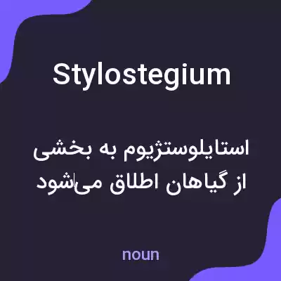 معنی stylostegium به فارسی معنی stylostegium به فارسی