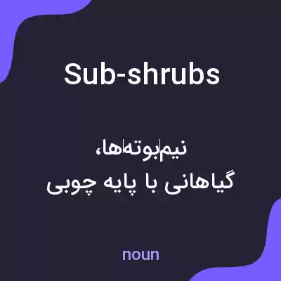 معنی sub-shrubs به فارسی معنی sub-shrubs به فارسی