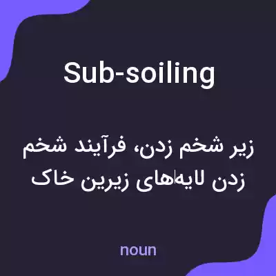 معنی sub-soiling به فارسی معنی sub-soiling به فارسی