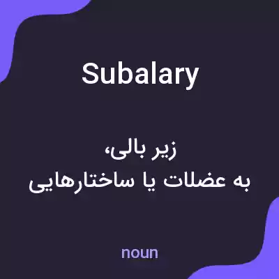 معنی subalary به فارسی معنی subalary به فارسی