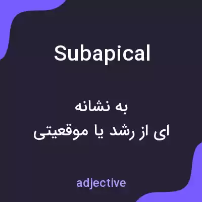 معنی subapical به فارسی معنی subapical به فارسی