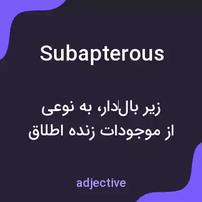 معنی subapterous به فارسی