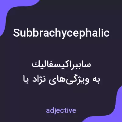 معنی subbrachycephalic به فارسی معنی subbrachycephalic به فارسی