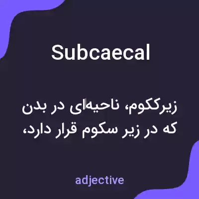 معنی subcaecal به فارسی معنی subcaecal به فارسی
