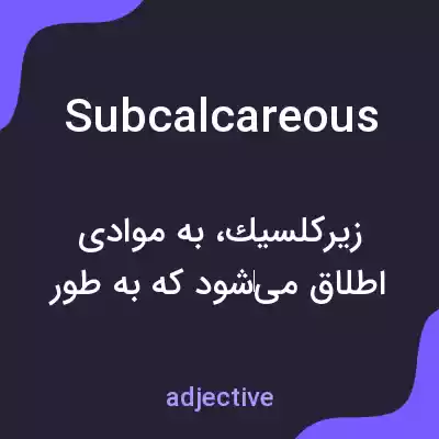 معنی subcalcareous به فارسی معنی subcalcareous به فارسی