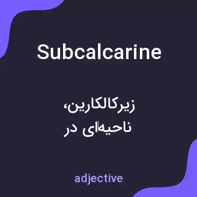 معنی subcalcarine به فارسی معنی subcalcarine به فارسی