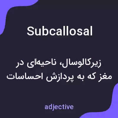 معنی subcallosal به فارسی معنی subcallosal به فارسی