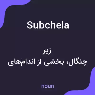 معنی subchela به فارسی معنی subchela به فارسی