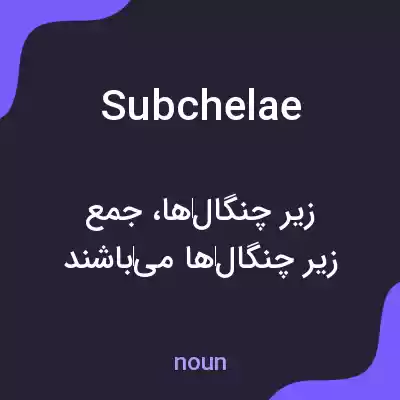 معنی subchelae به فارسی معنی subchelae به فارسی