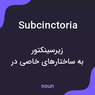 معنی subcinctoria به فارسی
