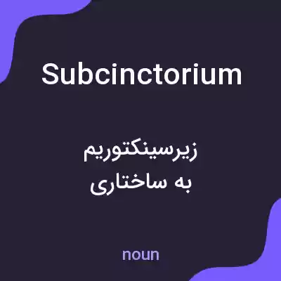 معنی subcinctorium به فارسی