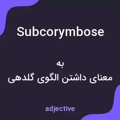 معنی subcorymbose به فارسی معنی subcorymbose به فارسی