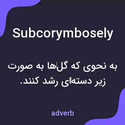 معنی subcorymbosely به فارسی معنی subcorymbosely به فارسی